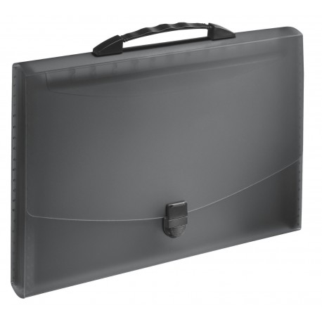 Mapă tip Proiect cu mâner Esselte VIVIDA