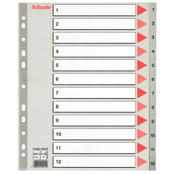 Index Esselte din plastic (PP), A4 Maxi