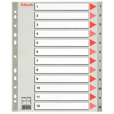 Index Esselte din plastic (PP), A4 Maxi