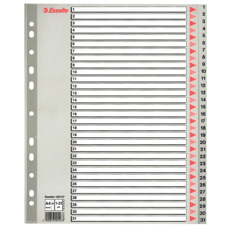 Index Esselte din plastic (PP), A4 Maxi