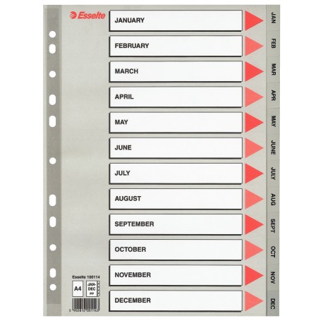 Index Esselte din plastic (PP), A4