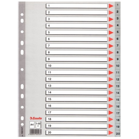 Index Esselte din plastic (PP), A4