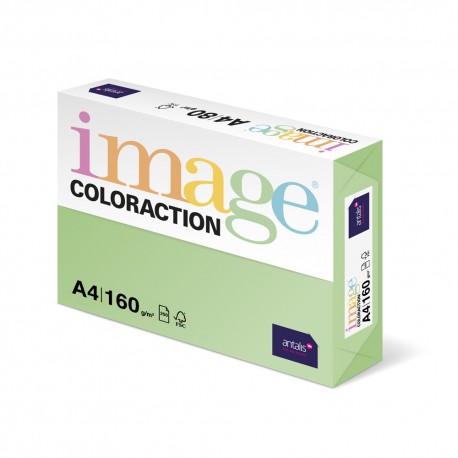 Carton color Coloraction, A4, 160 g, 250 coli/top, verde padure - Forest Carton color Coloraction, A4, 160 g, 250 coli/top, verde padure - Forest