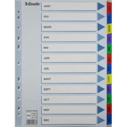 Separatoare cu index color laminat Esselte, Ian-Dec