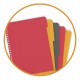 Caiet cu spirala A4+, OXFORD International Managerbook, 80 file-90g/mp, 4 perf., coperta PP-dictando