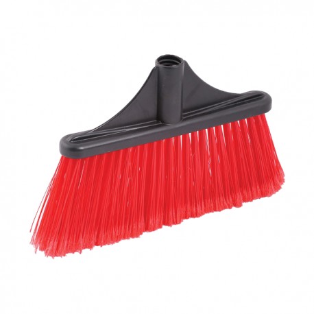 Matura fir mediu Latino, rosu