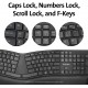 Tastatura Kensington ProFit Ergo, suport ergonomic pentru incheietura mainii inclus, conexiune wireless