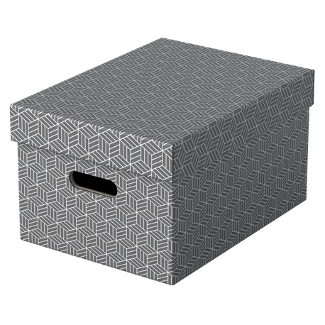 Cutie depozitare Esselte Home Recycled, carton, 36x26x20 cm, cu capac, 3 buc/set, gri
