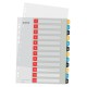 Index LEITZ Cosy, imprimabil, PP, A4, 1-12, multicolor