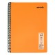 Caiet cu spira Mynote, format A4, 60 file offset 60 g/mp, liniatura dictando, coperta PP neon diverse culori