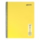 Caiet cu spira Mynote, format A4, 60 file offset 60 g/mp, liniatura matematica, coperta PP pastel diverse culori