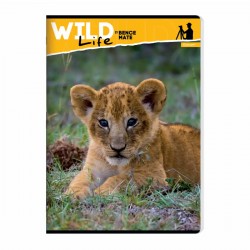 Caiet A5 capsat, 52 file matematica, 70 g/mp, design animale
