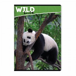 Caiet A4 capsat, 52 file matematica, 70 g/mp, design animale