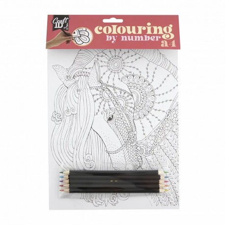 Set 5 planse A4 desen pe numere Creative Craft, cu 5 creioane colorate duble