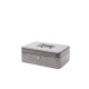 Caseta (cutie) metalica pentru bani, 250 x 190 x 90 mm, MAUL - argintie