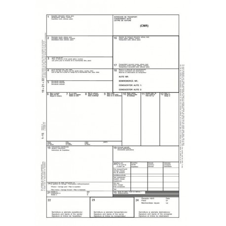 Scrisoare de transport international CRM color, 240 mm x 12, fata/verso, 5 exemplare mod continuu, 4