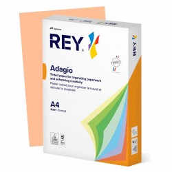 Hartie color REY Adagio, A4, 80g, 500 coli/top, somon
