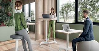 gama de produse Leitz Ergo