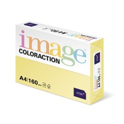 Carton color Coloraction, A4, 160 g, 250 coli/top, galben pal - desert