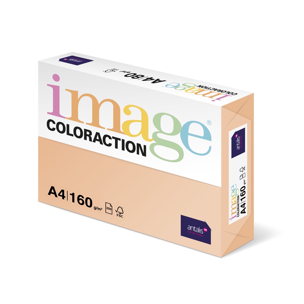 Carton color Coloraction, A4, 160 g, 250 coli/top, somon - Savana